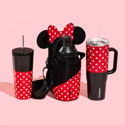 Disney Cruiser